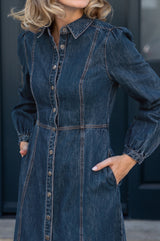 Close-up of the Aspiga A-Line Denim Midi Dress in Indigo, showing the button placket and seam detailing