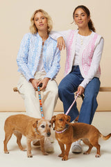 Arrow and Disc Dog Lead | Multi