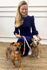 Arrow and Disc Dog Lead | Multi