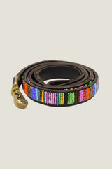Dog-Lead-Multishine-on-Coffee-Leather