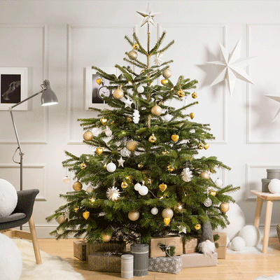 How to have a more Sustainable Christmas