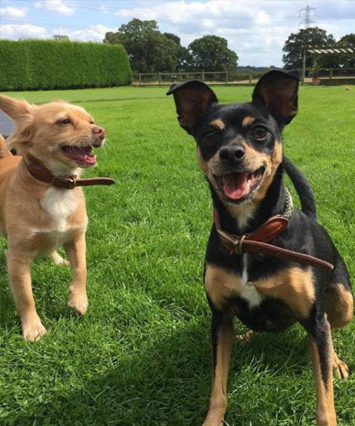 Instagram Of The Month - Wild At Heart Foundation