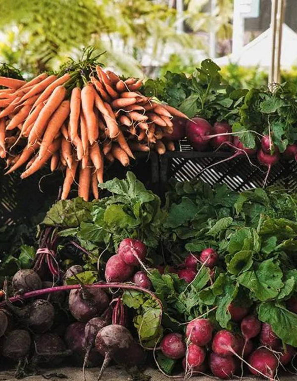 How To Build A Sustainable Diet
