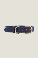 Arrow and Circle Dog Collar | Turquoise/Green - Aspiga