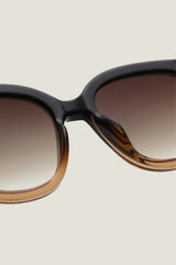 Billy Sunglasses | Black/Brown Transparent