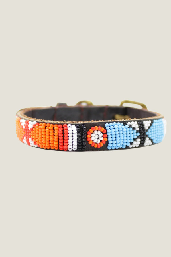 Arrow and Disc Dog Collar Thin | Multi