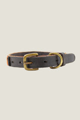 Arrow and Disc Dog Collar Thin | Multi