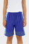 Unisex Kikoy Shorts | Cobalt Blue/Blue