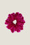 Velvet Scrunchie | Bright Pink