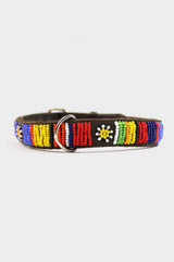 Dog Collar Maasai | Multi - Aspiga