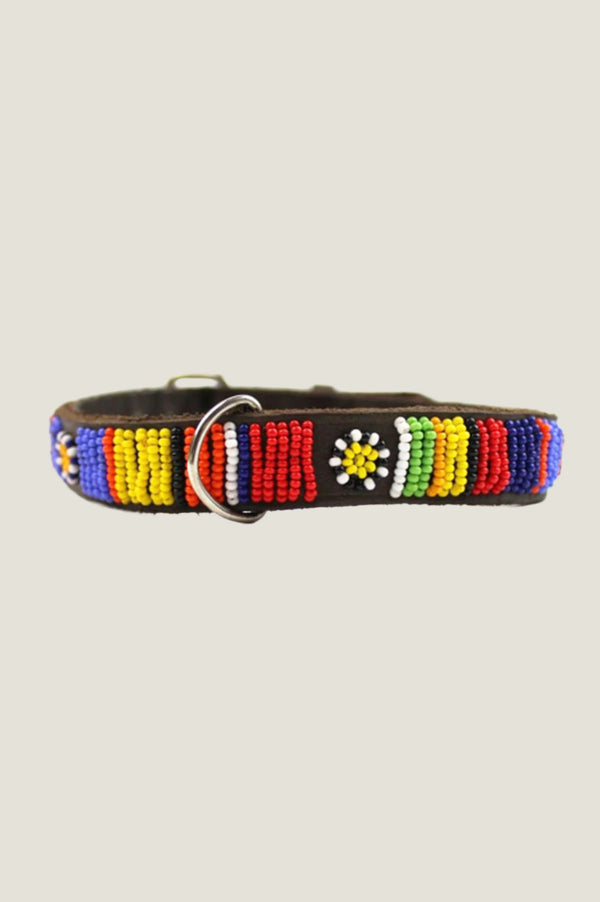 Dog Collar Maasai | Multi - Aspiga