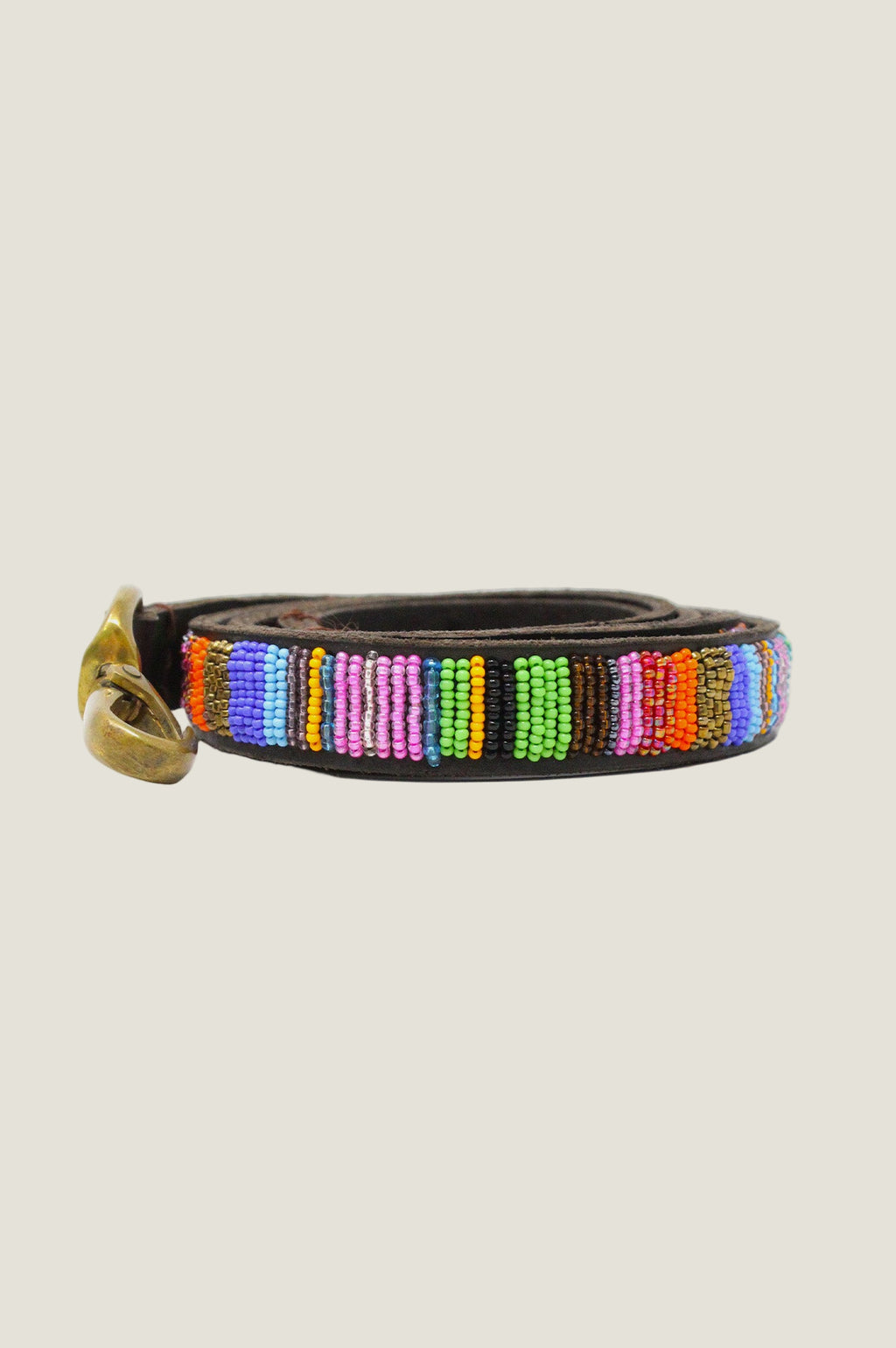 Dog Lead Multishine on Coffee Leather