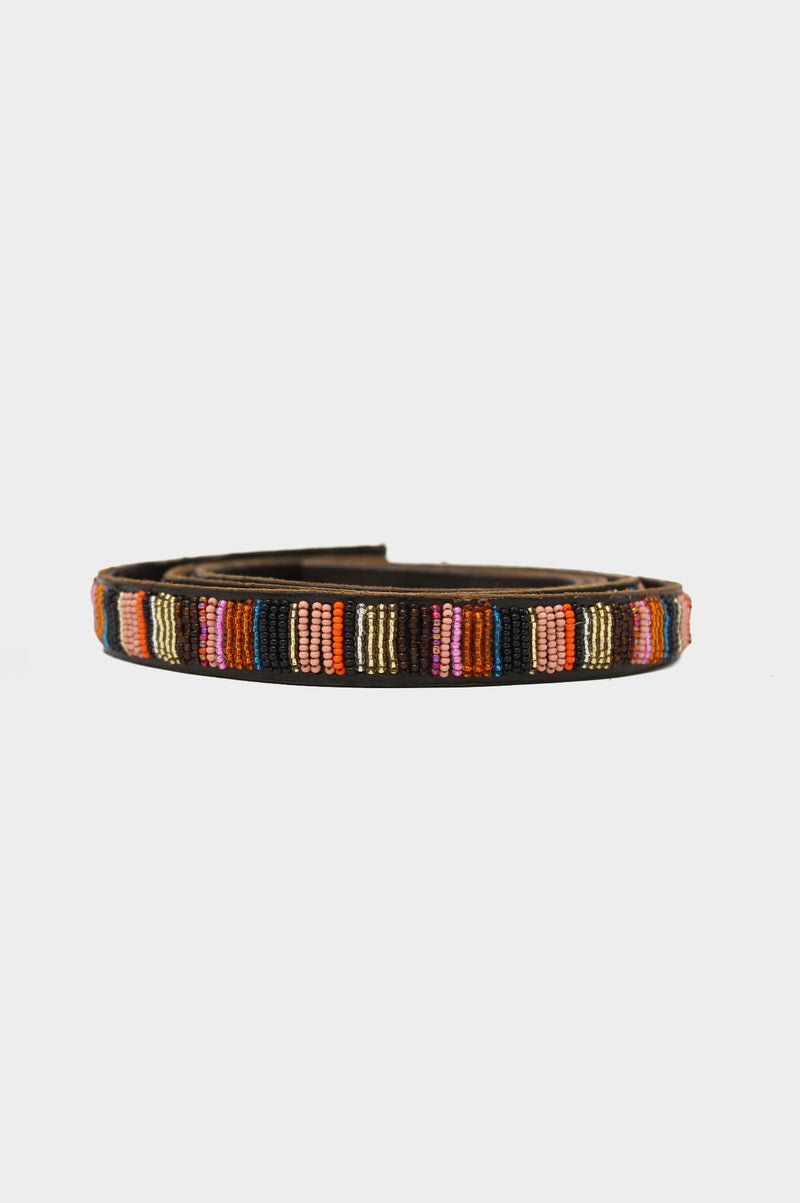 Dog-Lead-Autumn