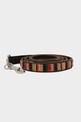Dog-Lead-Autumn
