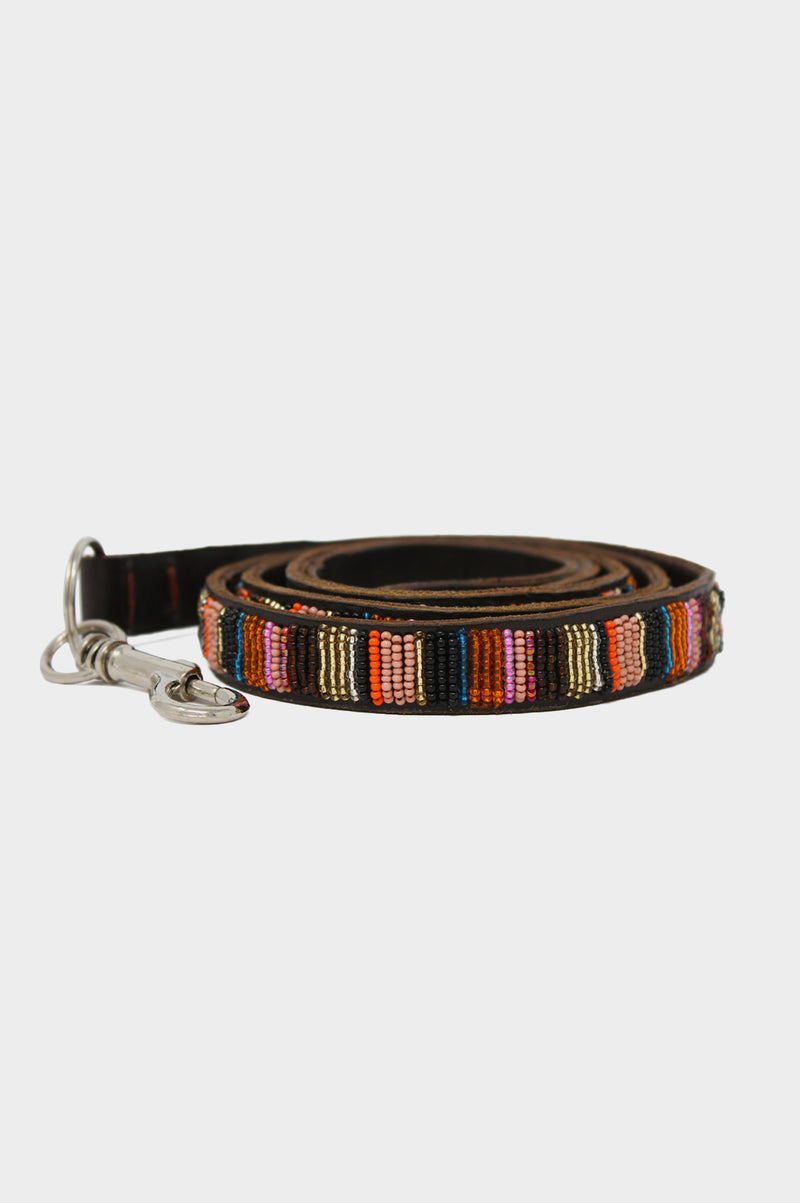 Dog-Lead-Autumn