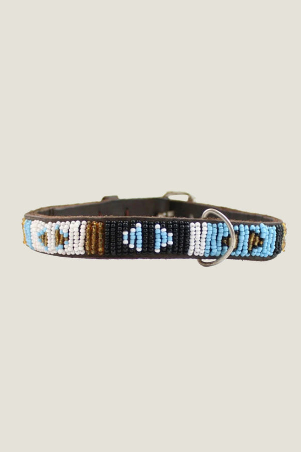 Dog Collar Arrow | Turquoise - Aspiga