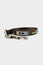 Dog Lead | Arrow Turquoise
