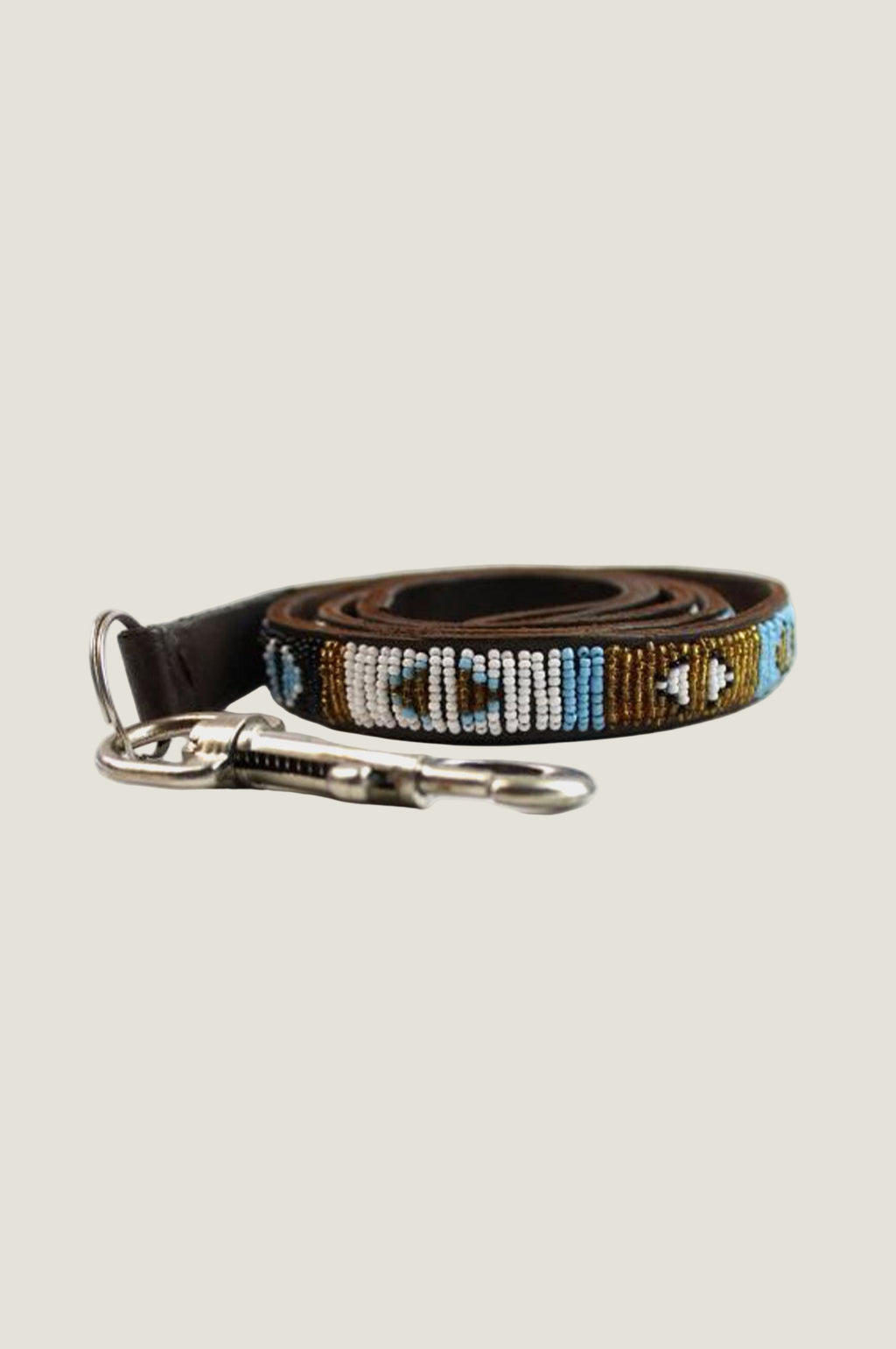 Dog Lead Arrow