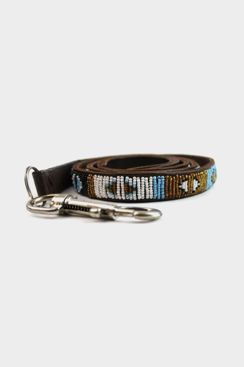 Dog Lead Arrow | Turquoise - Aspiga